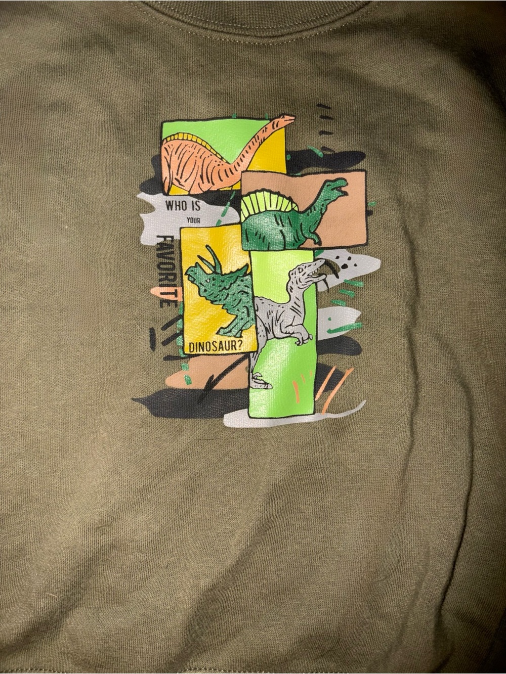 Kids Olive Green Dinosaur Graphic Pullover Sweater